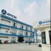 APICAL