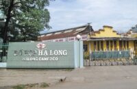 Đồ Hộp Hạ Long